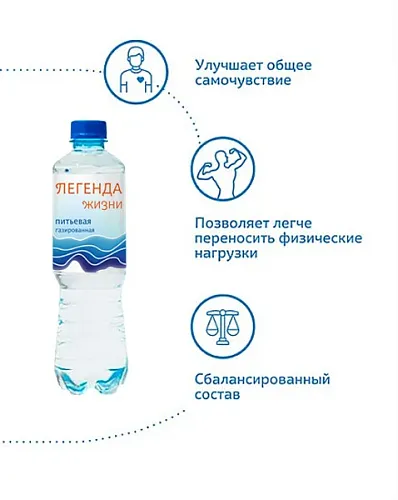 Вода газированная 0,5 л. (12 шт.) Вода газированная 0,5 л. (12 шт.)